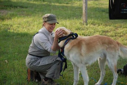 Dog Power Rules at Russ-Stick Acres Image